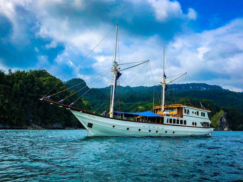 Is Komodo Diving Liveaboard Trip Right For You? 