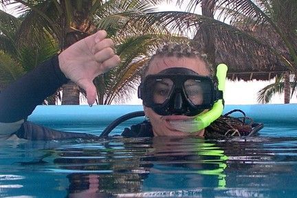 The Essentials of Scuba Diving Lessons for Beginners
