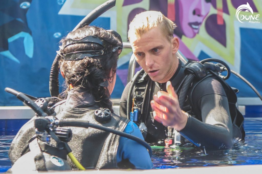  The Essentials of Scuba Diving Lessons for Beginners
