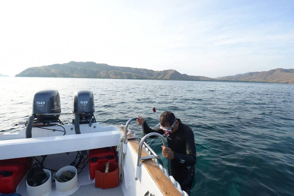 What to Do If You Plan for Diving in Komodo
