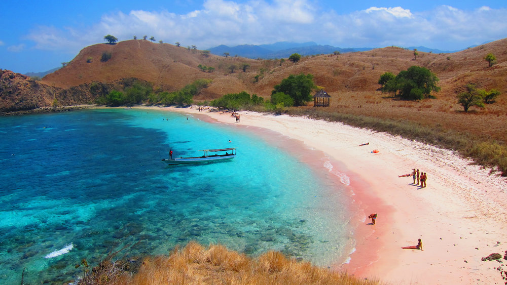Visit pink beach | Komodo tour | Hello Flores