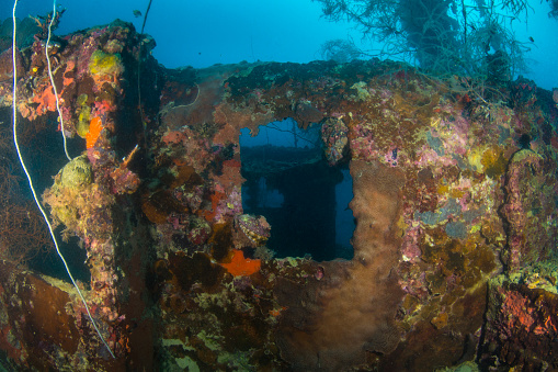 Japanese Shipwreck