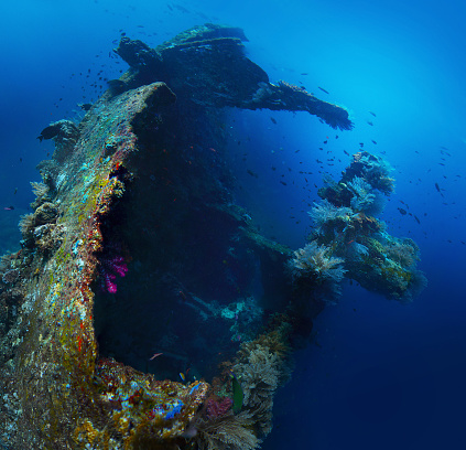 USAT Liberty shipwreck 