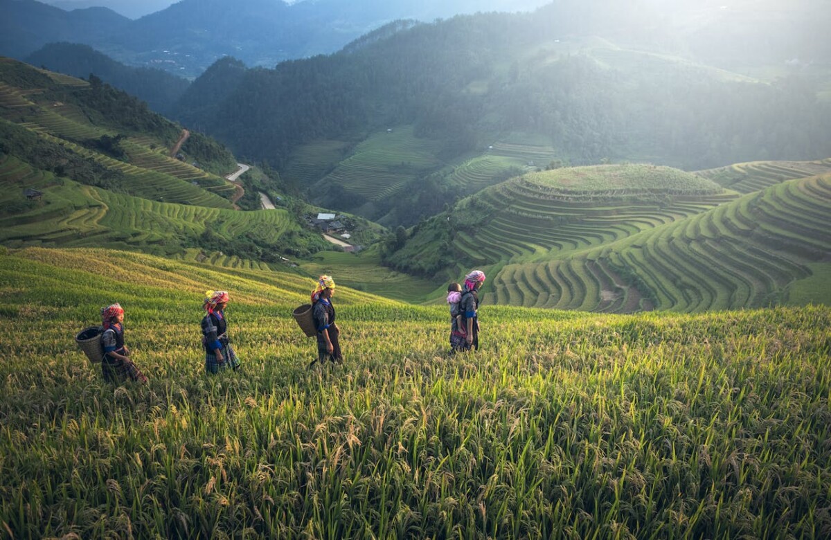 Risks and Rewards of Buying Land in Bali
